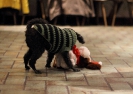 Crazy Chlaus 2012_4